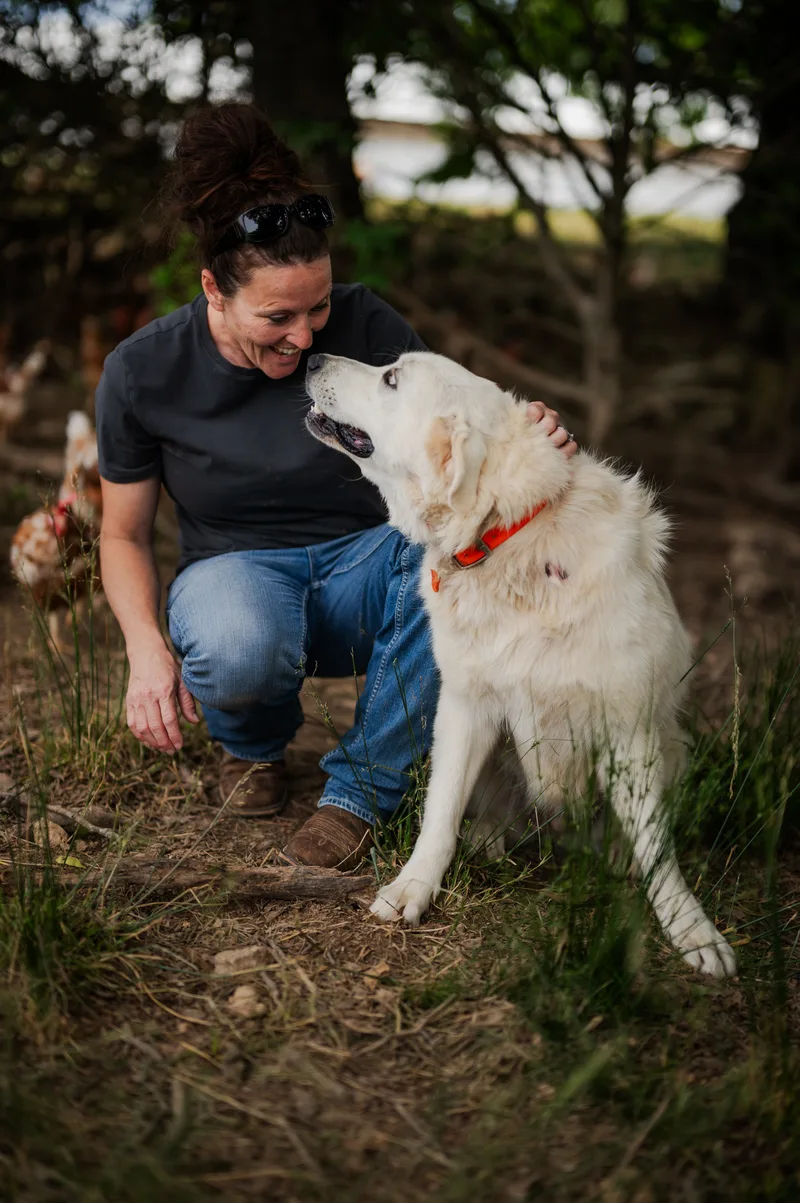 Farmer petting a dog in a pasture