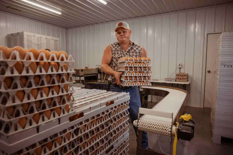Egg farmer carrying trays of brown eggs.