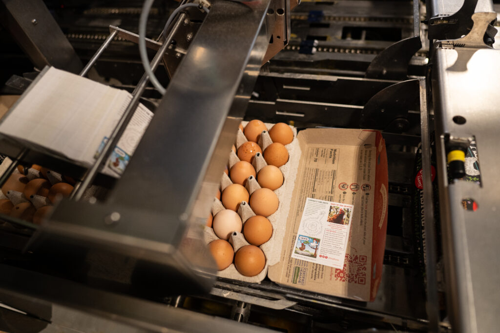 Open carton of brown eggs moving through an automated packaging line at a processing facility.
