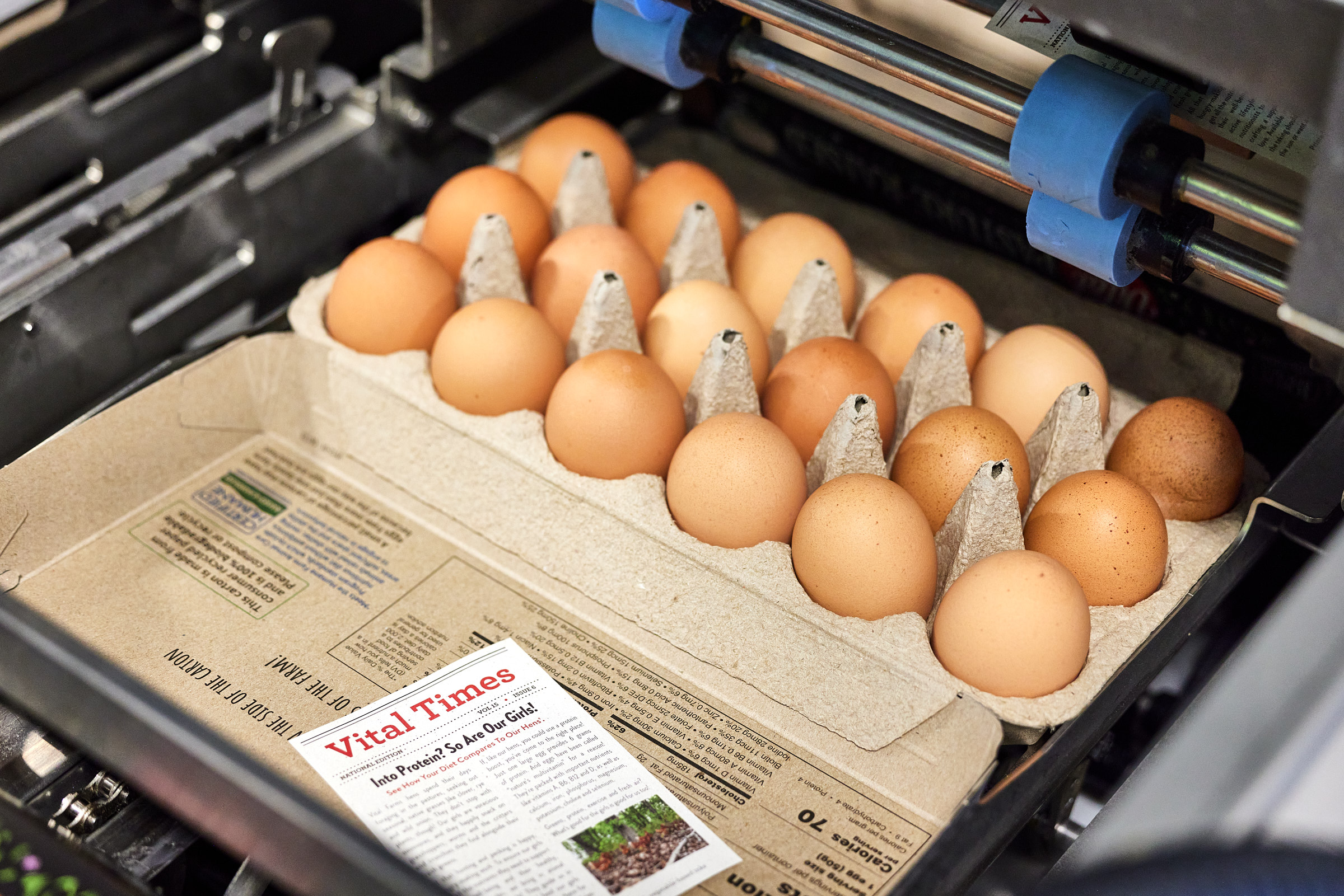 Vital Times insert inside egg carton on an assembly line at Egg Central Station.