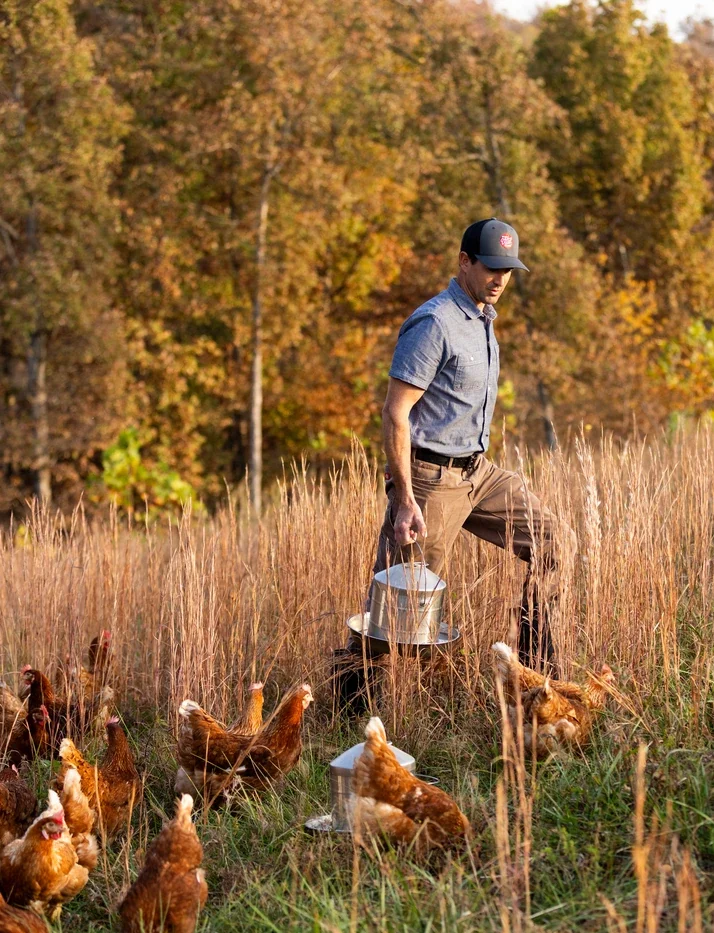 Farmer carries a feeder through a pasture as hens gather in tall grass beneath colorful autumn trees.