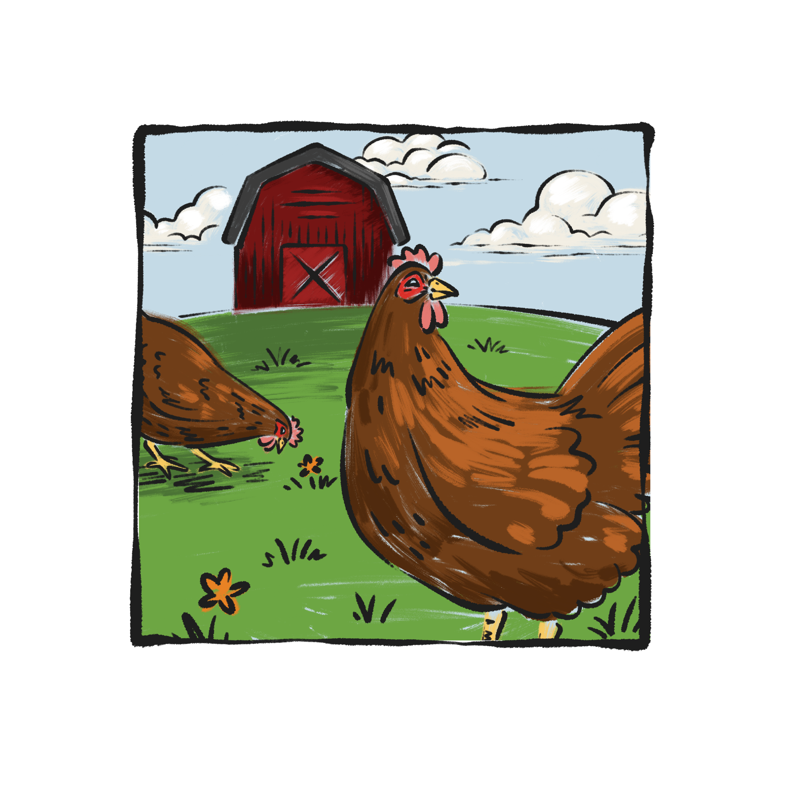 Illustration of two brown hens in a grassy pasture with a red barn in the distance and cloudy blue sky in the background.