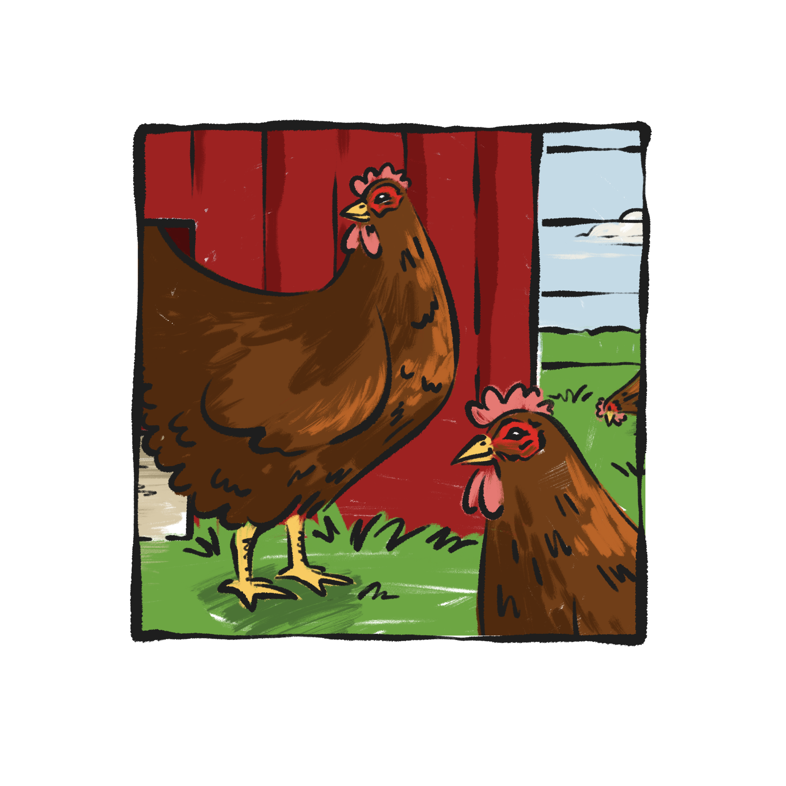 Illustration of two brown hens standing in front of a red barn, with a grassy field and blue sky in the background.