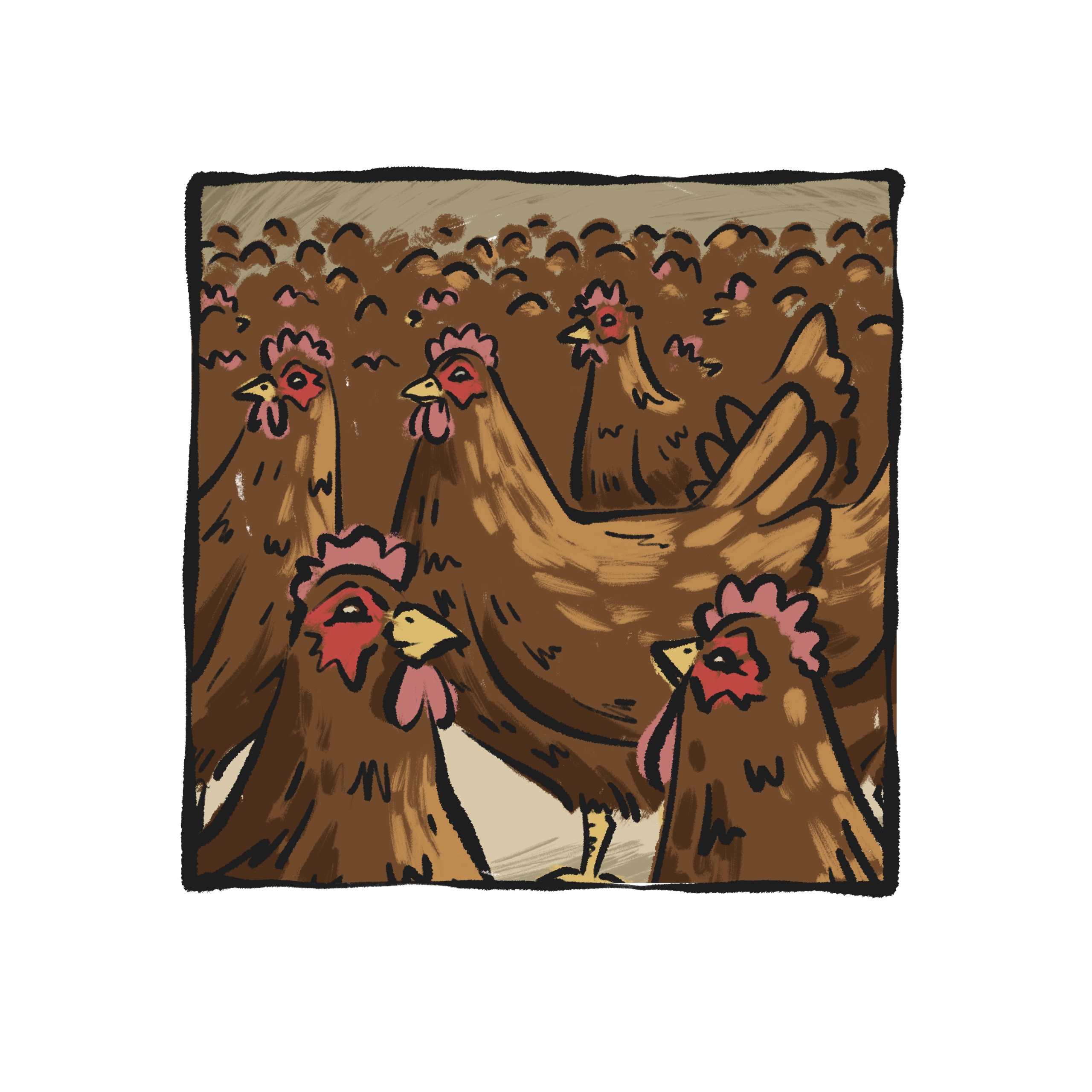 Illustration of a large flock of brown hens gathered closely together indoors.