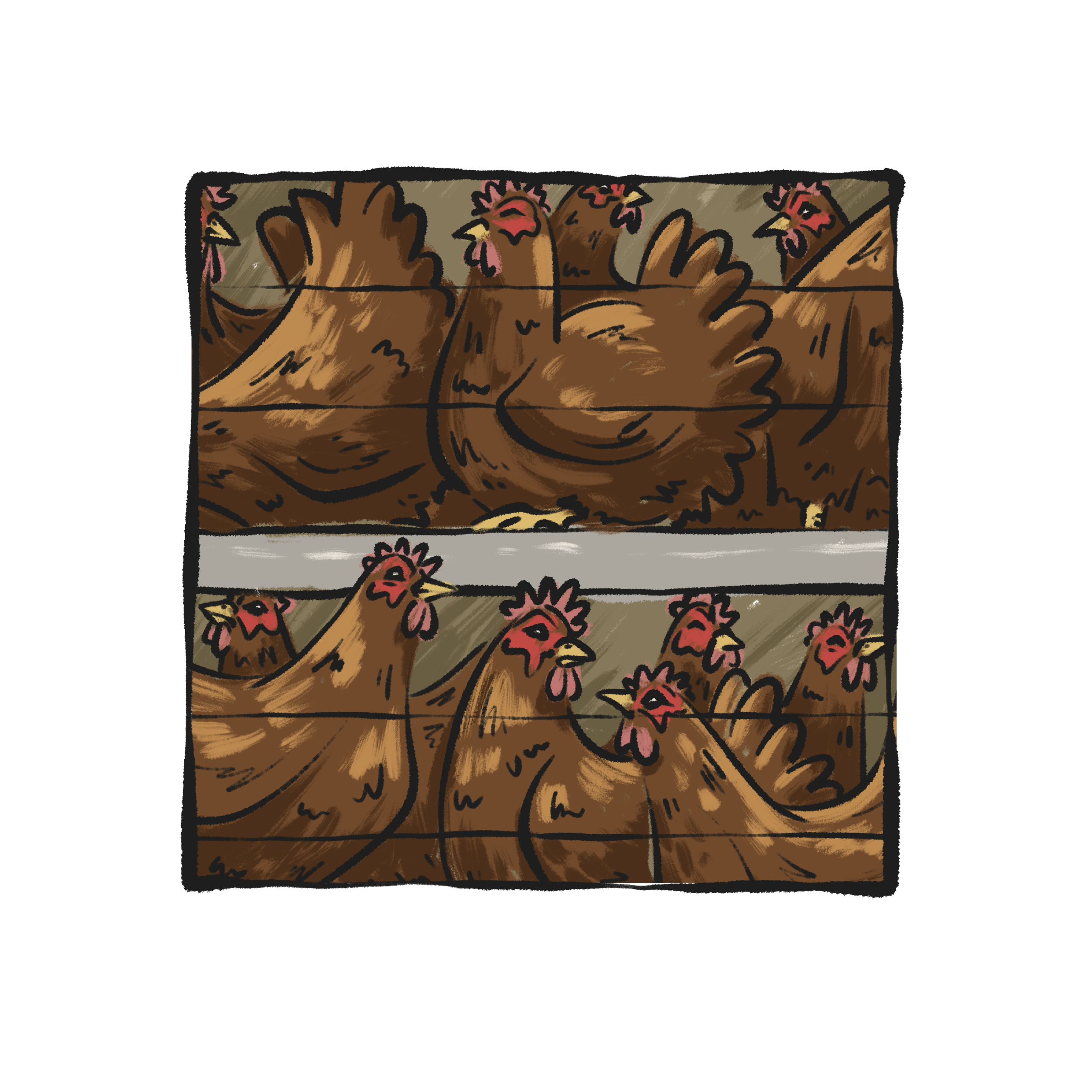 Illustration of brown hens crowded together inside stacked wire enclosures.