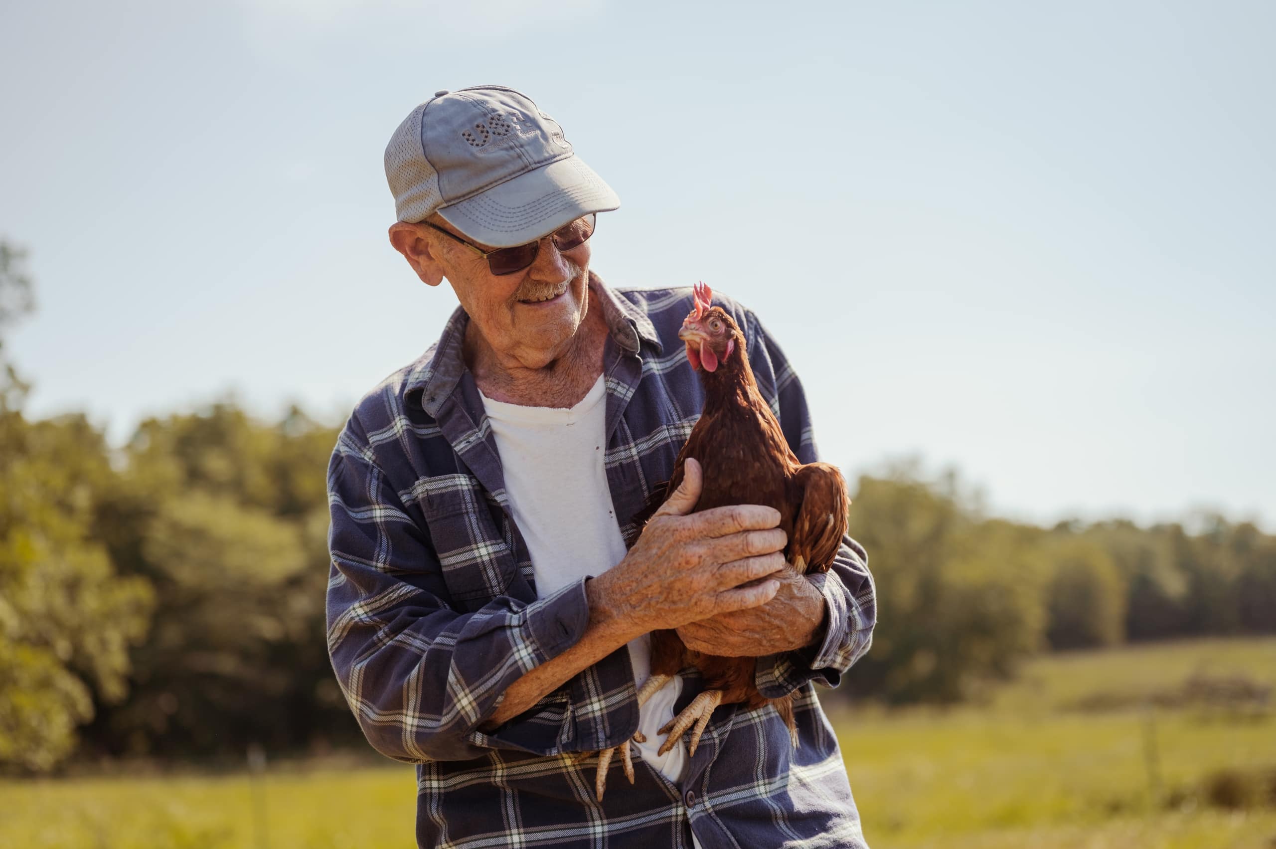 Dennis the farmer holding a hen on the pasture