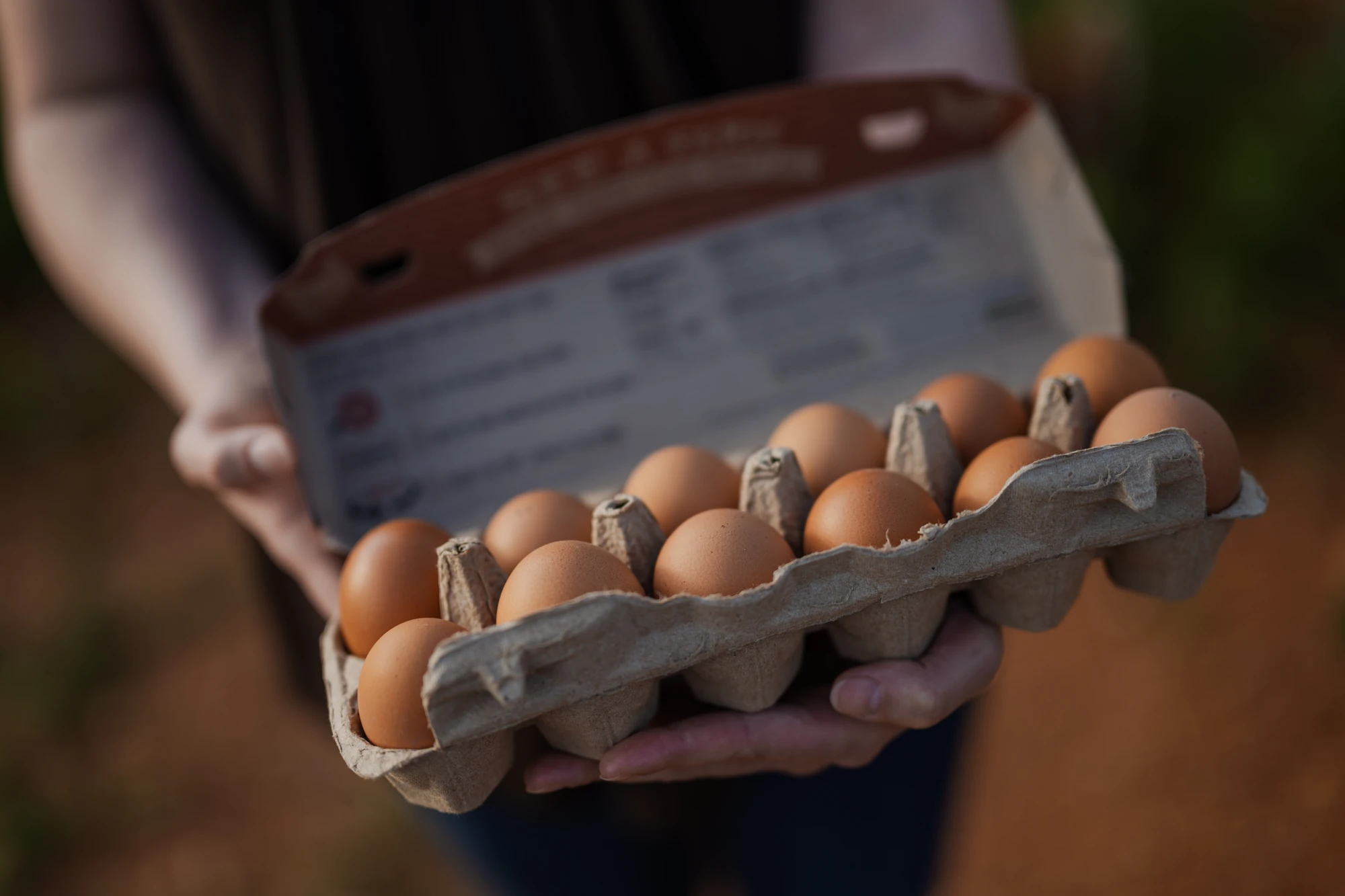 Open carton of brown eggs held in hands, with the carton lid visible in the background.